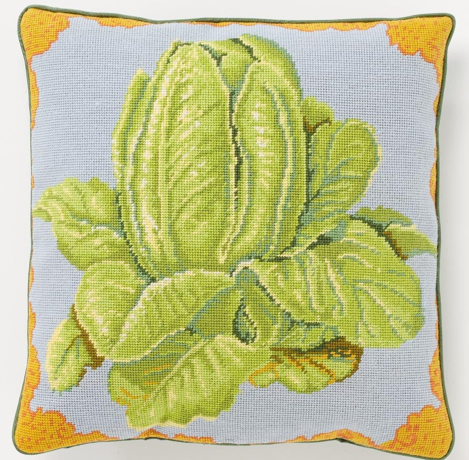 Blue lettuce